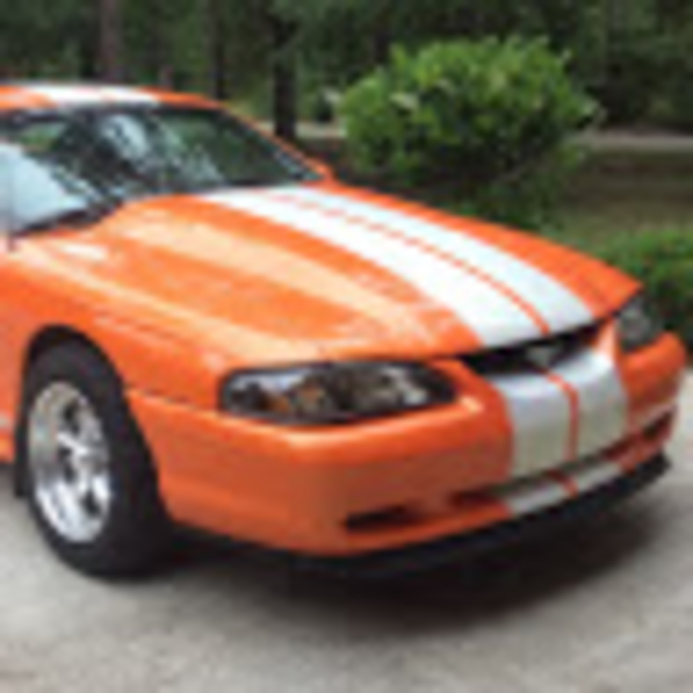 Meet your Posher, Kacey